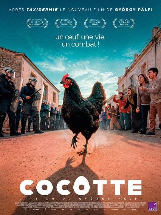 cocotte