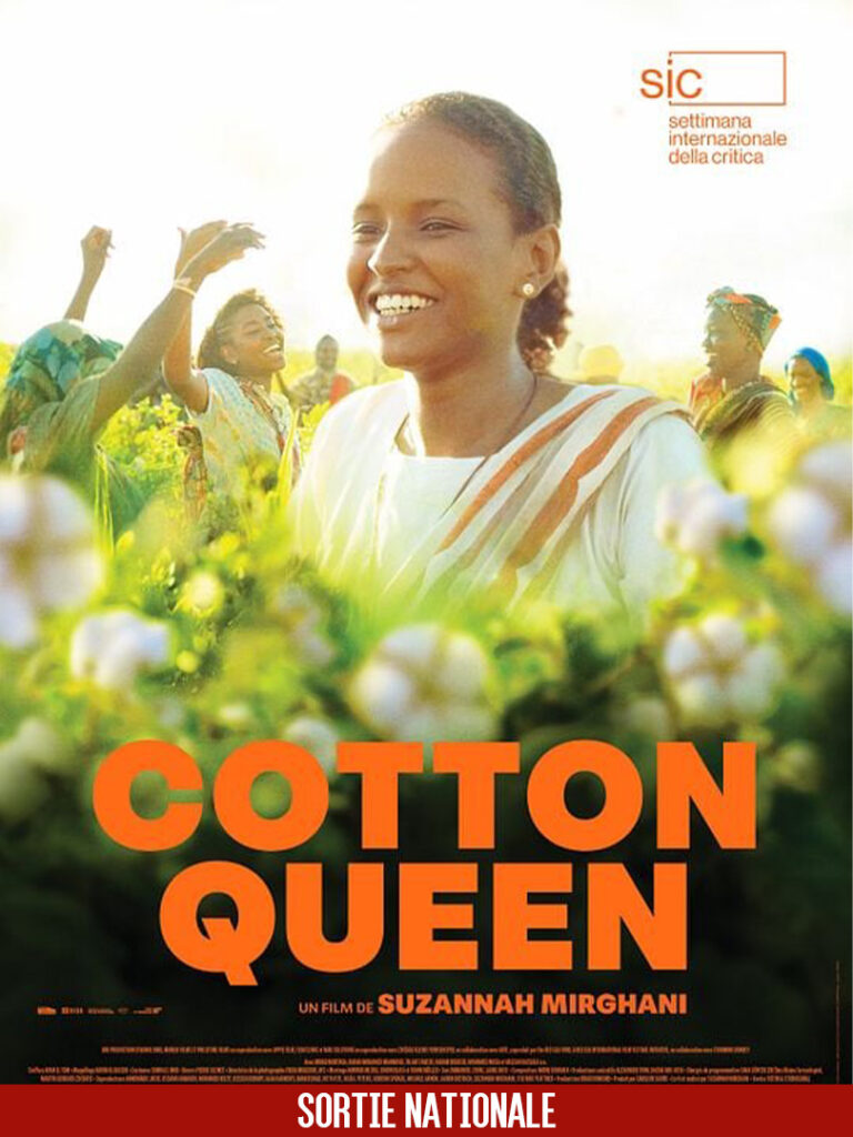 cotton_sn