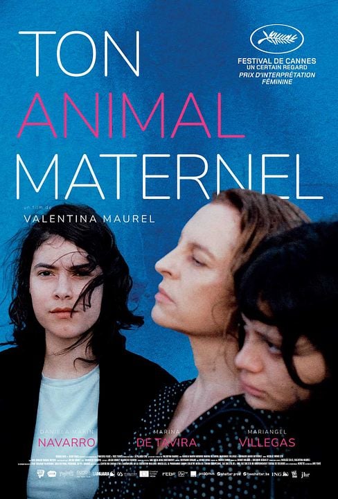 animal