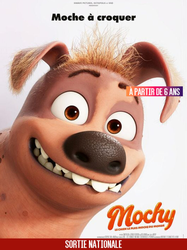mochy_sn