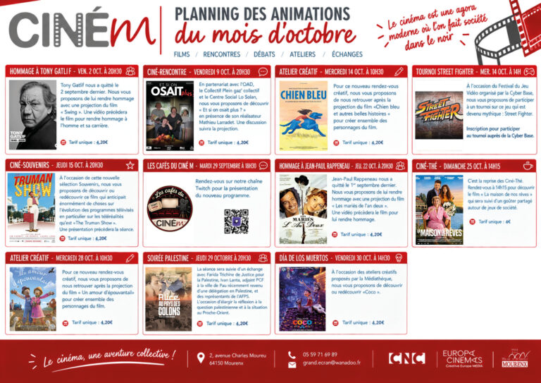 planning anim